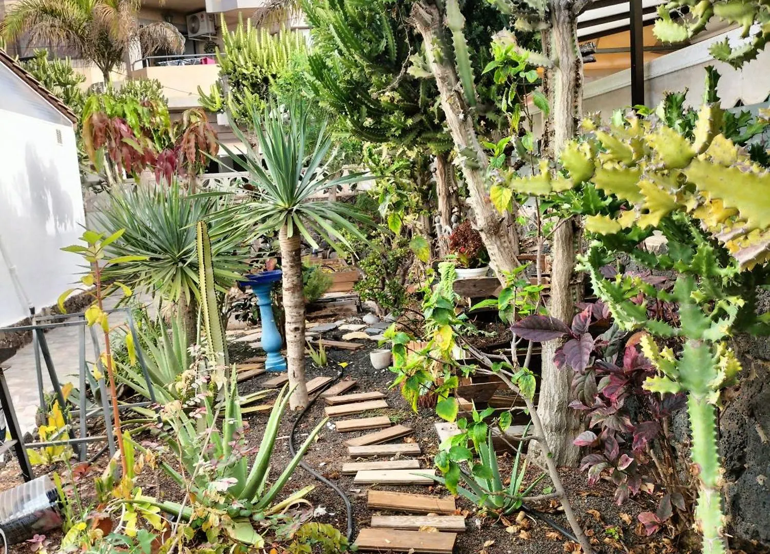 Apartamento Diamar Corralejo 0*,